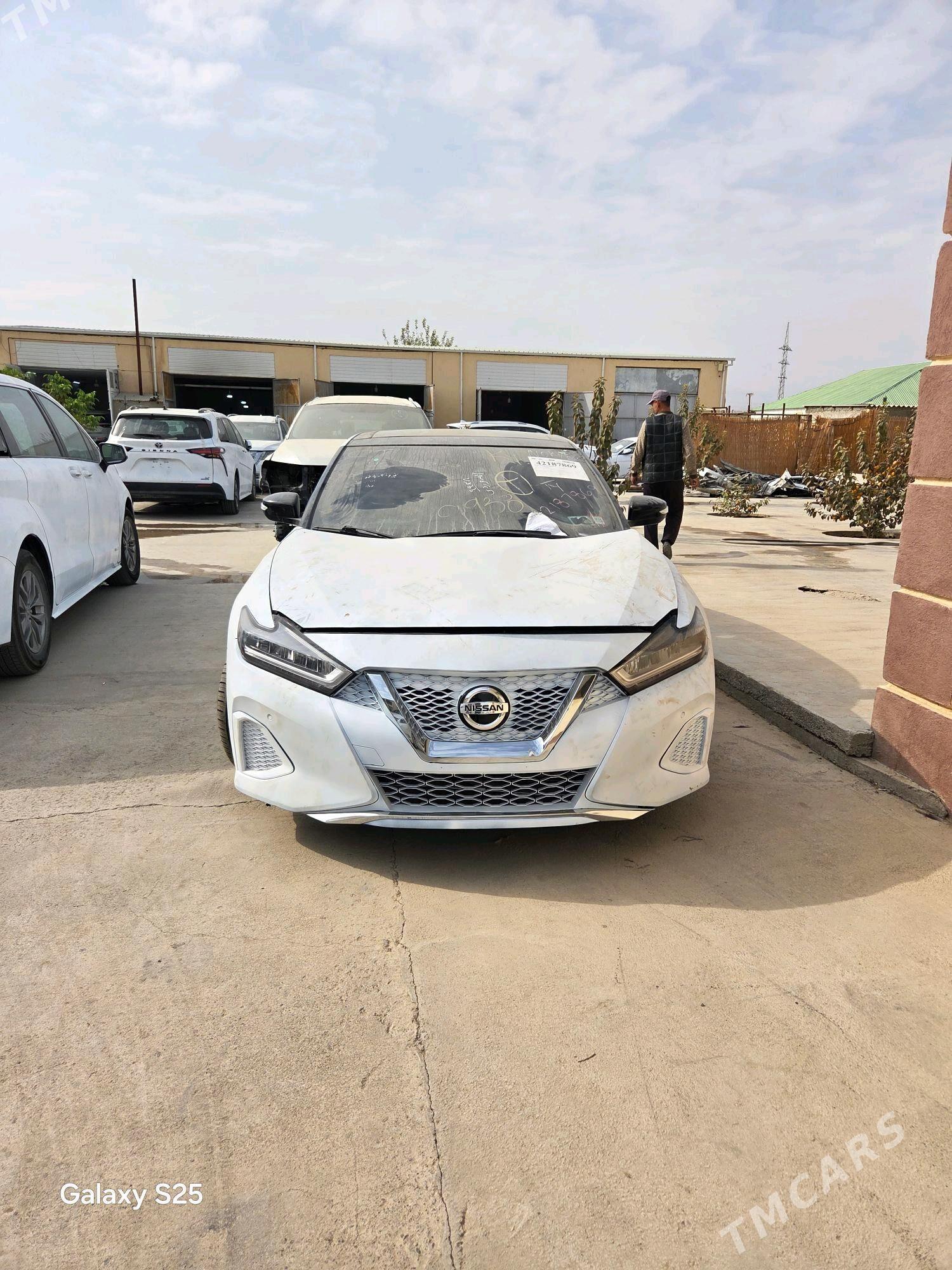 Nissan Maxima 2020 - 220 000 TMT - Aşgabat - img 2