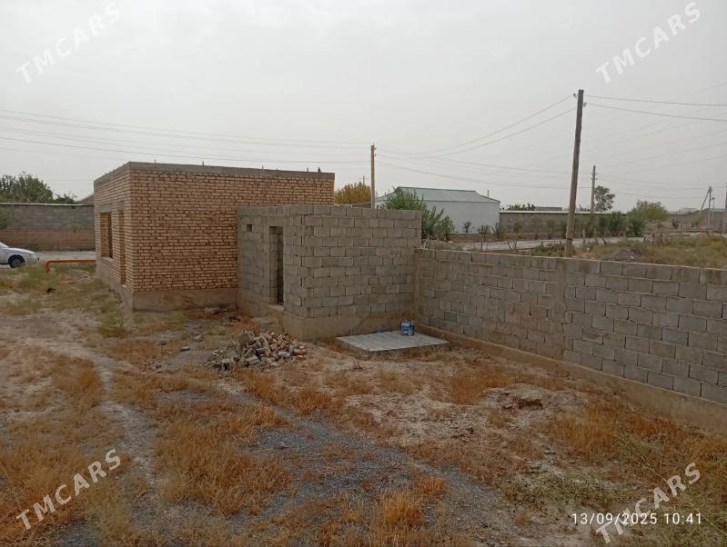 satlyk jay - Кака - img 3