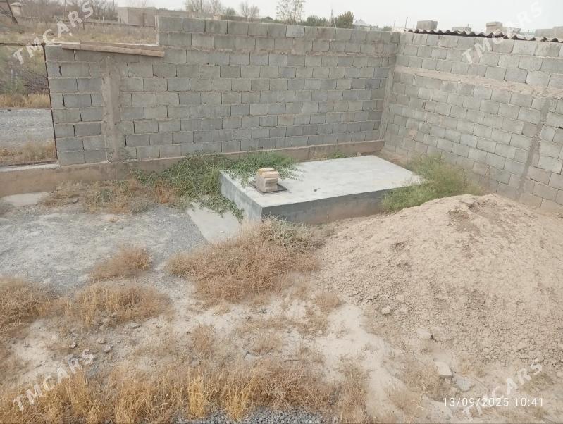 satlyk jay - Кака - img 5