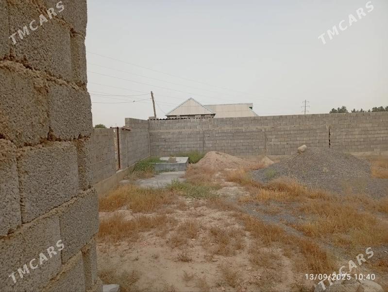 satlyk jay - Кака - img 8