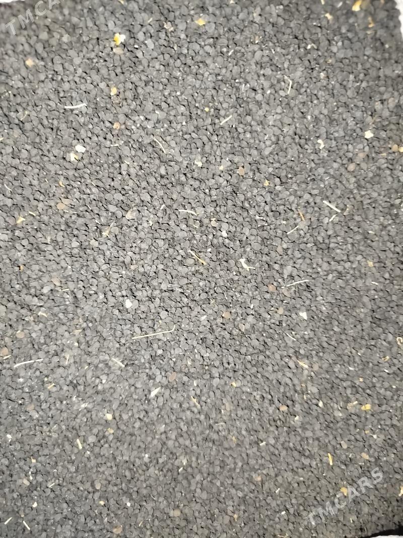 gyzyl sogan toh - Ak bugdaý etraby - img 1