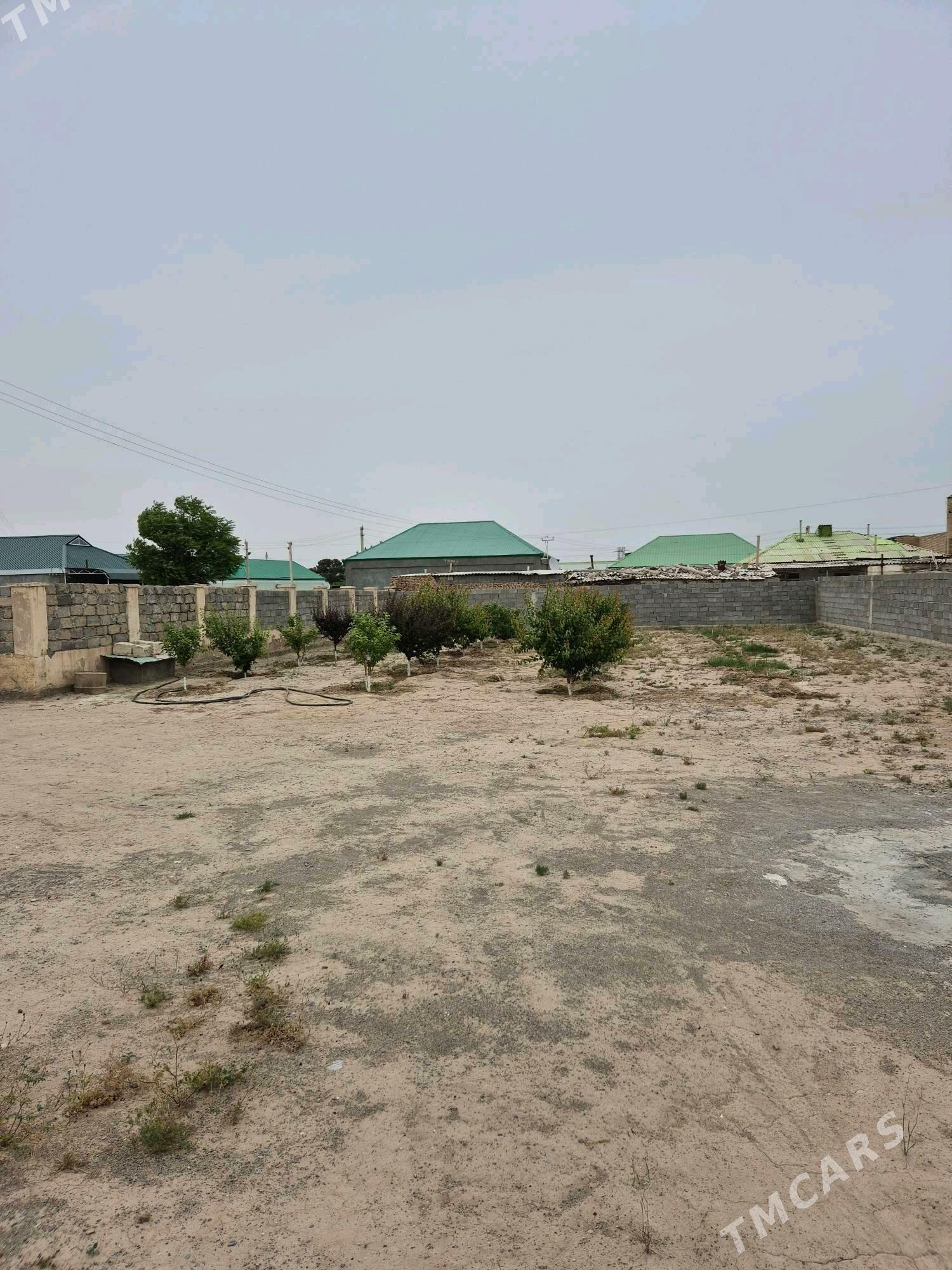 Plan Howly yer Jay - Aşgabat - img 10