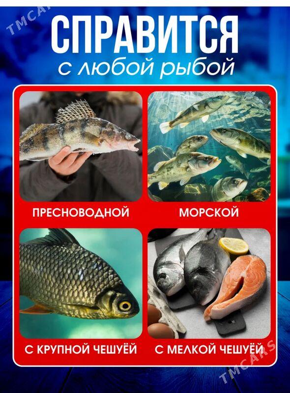 Рыбочистка Электрическая - Ашхабад - img 6