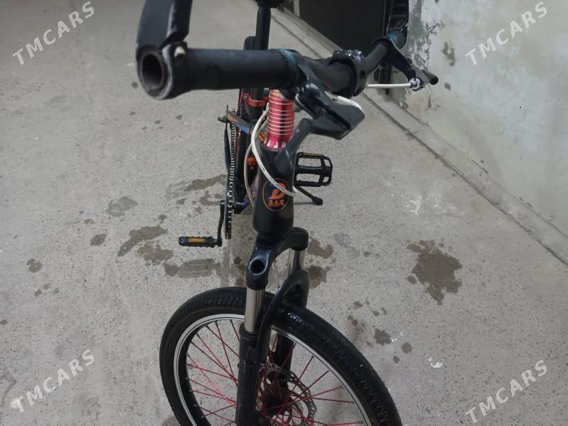 tigir - Büzmeýin - img 1