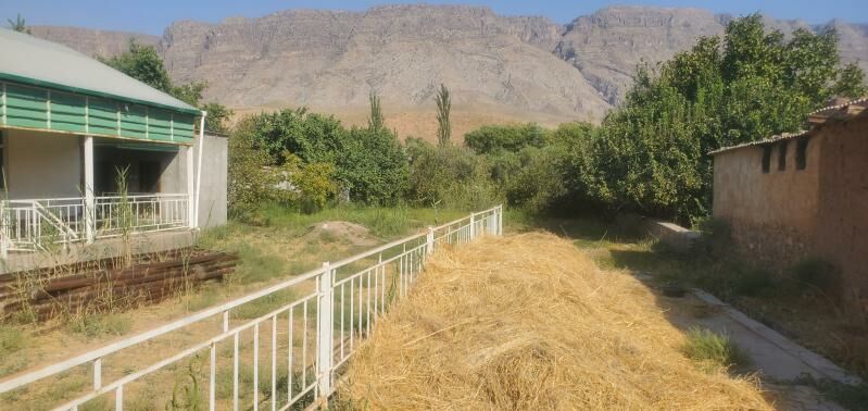 jay Köýtendag - Койтендаг - img 4