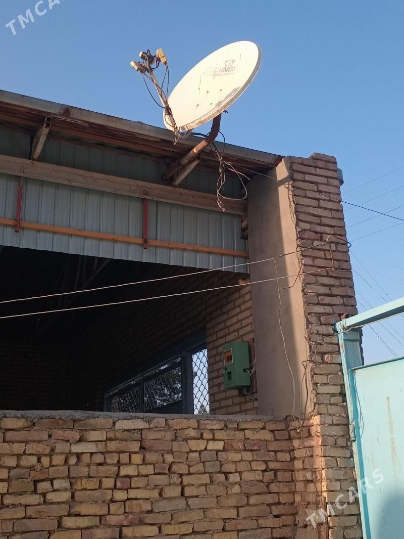 Antena kiçi - Mary - img 3