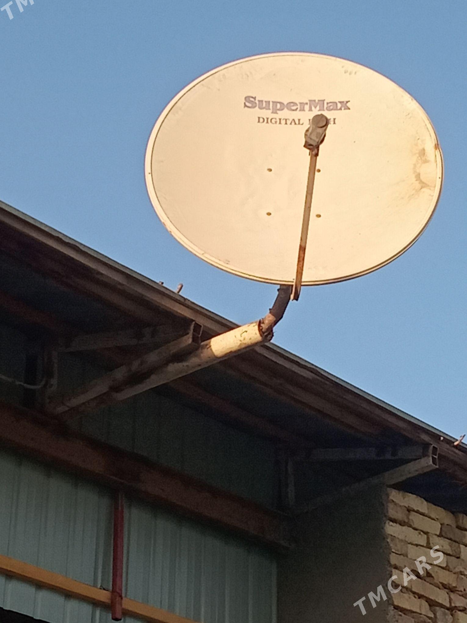 Antena kişi - Mary - img 1