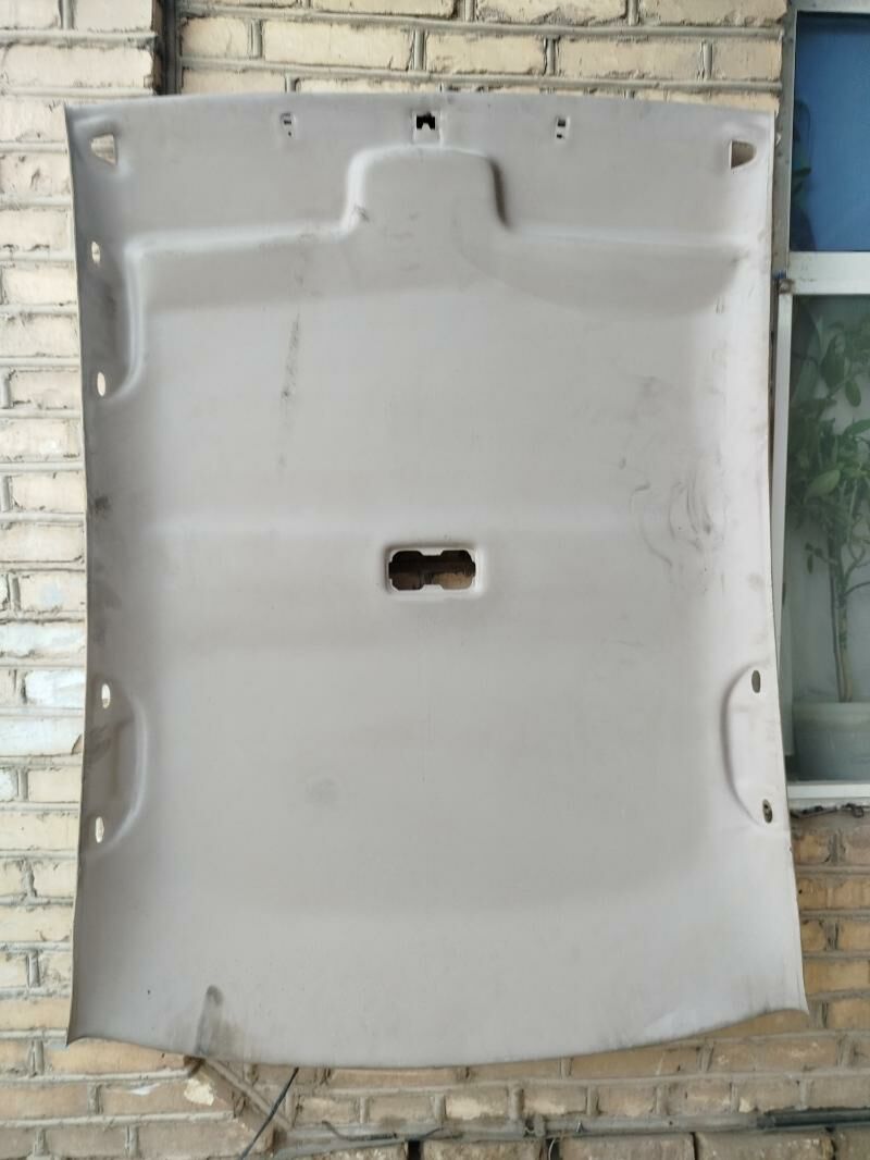 patalok 550 TMT - Sakarçäge - img 1