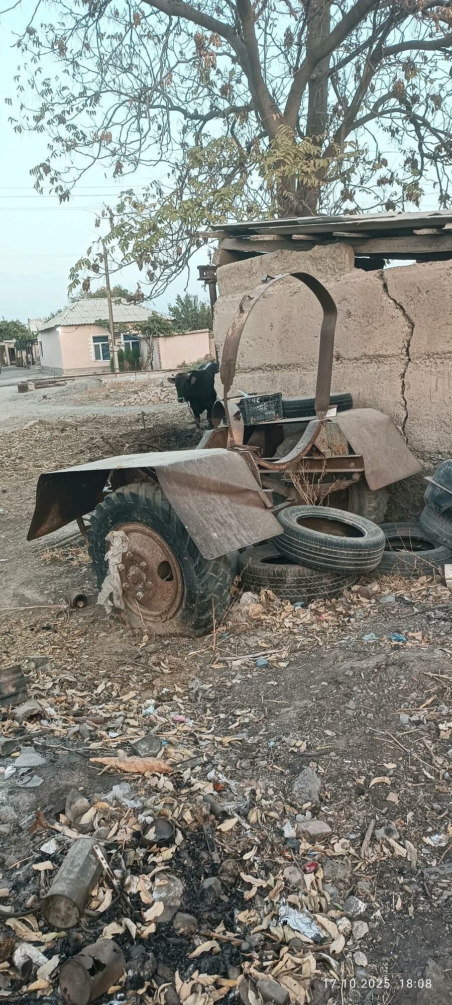 Prsep tirkek 4 000 TMT - Kaka - img 1