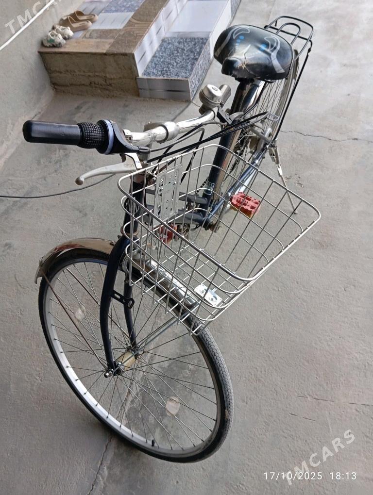 Yaponka welik - Gyzylarbat - img 1