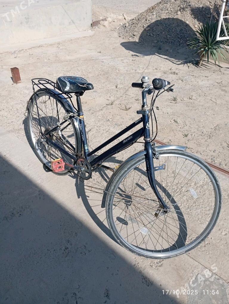 Yaponka welik - Gyzylarbat - img 2