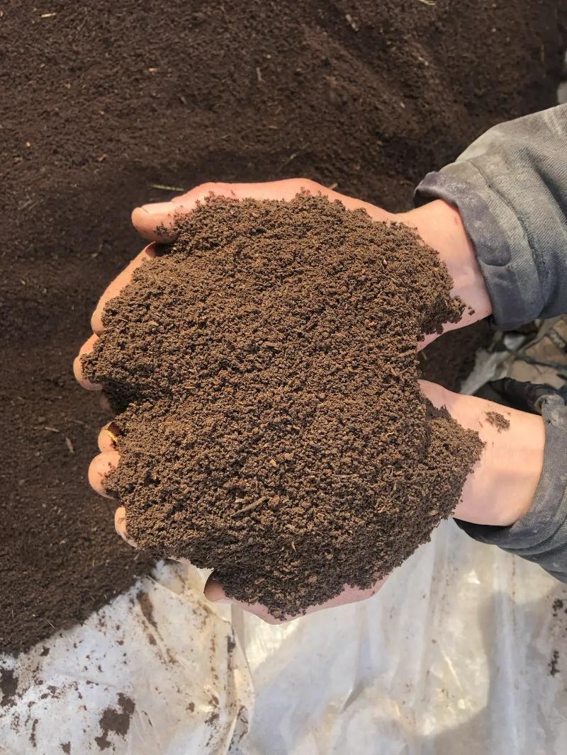 biogumis dokun - Керки - img 2