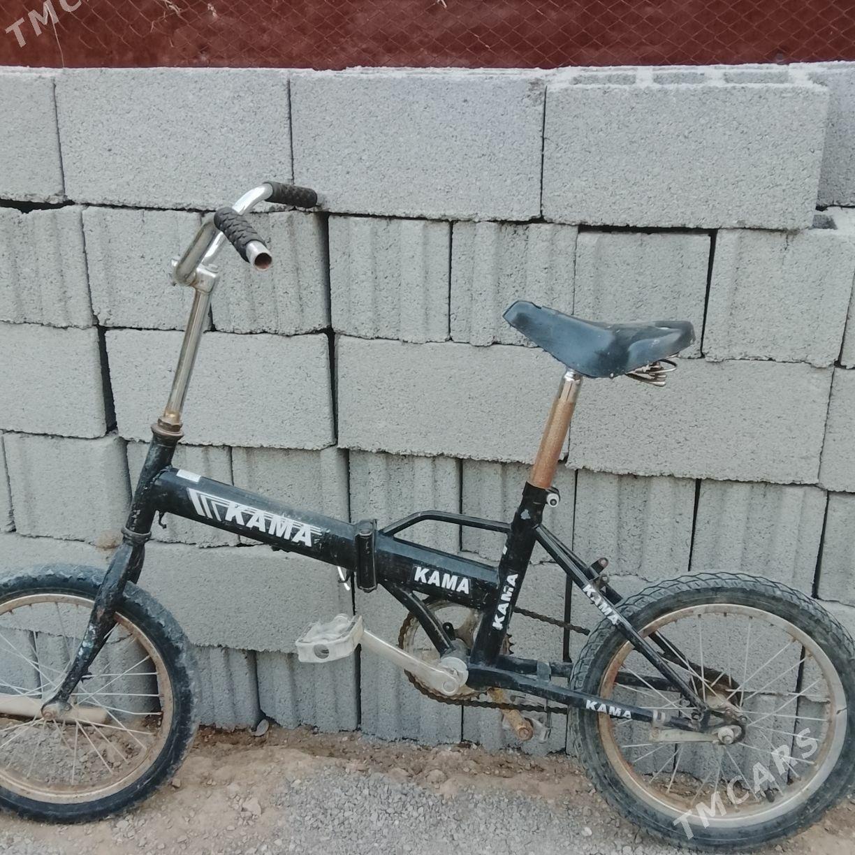 Kama tigir - Бекреве - img 2