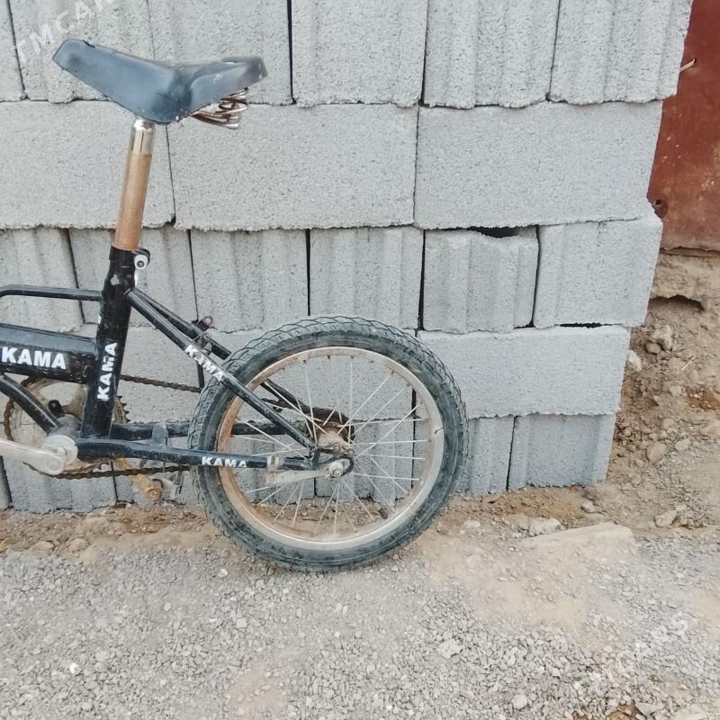 Kama tigir - Бекреве - img 4