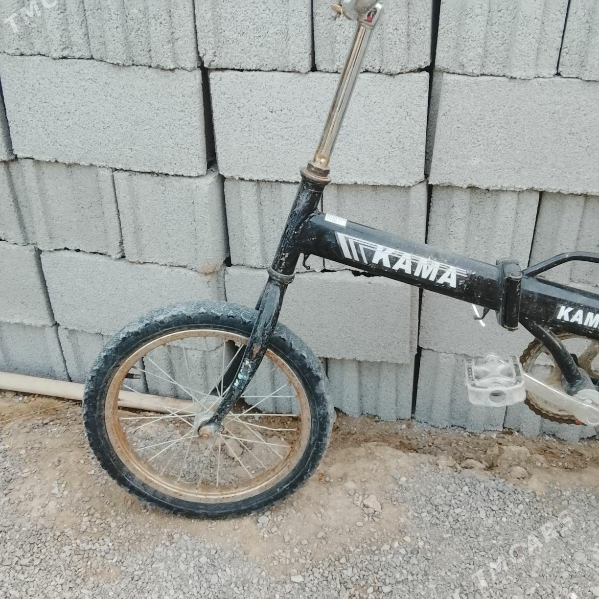 Kama tigir - Бекреве - img 3