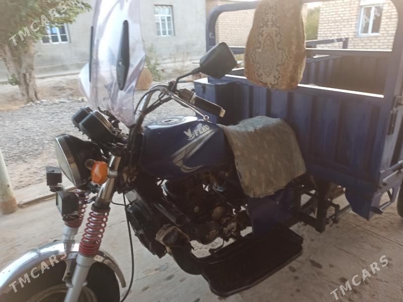 Fekon FK200-14G 2016 - 15 000 TMT - Ёлётен - img 2