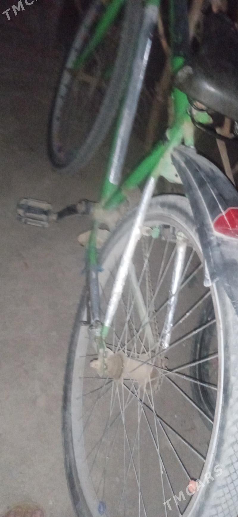 Tigir - Gubadag - img 2