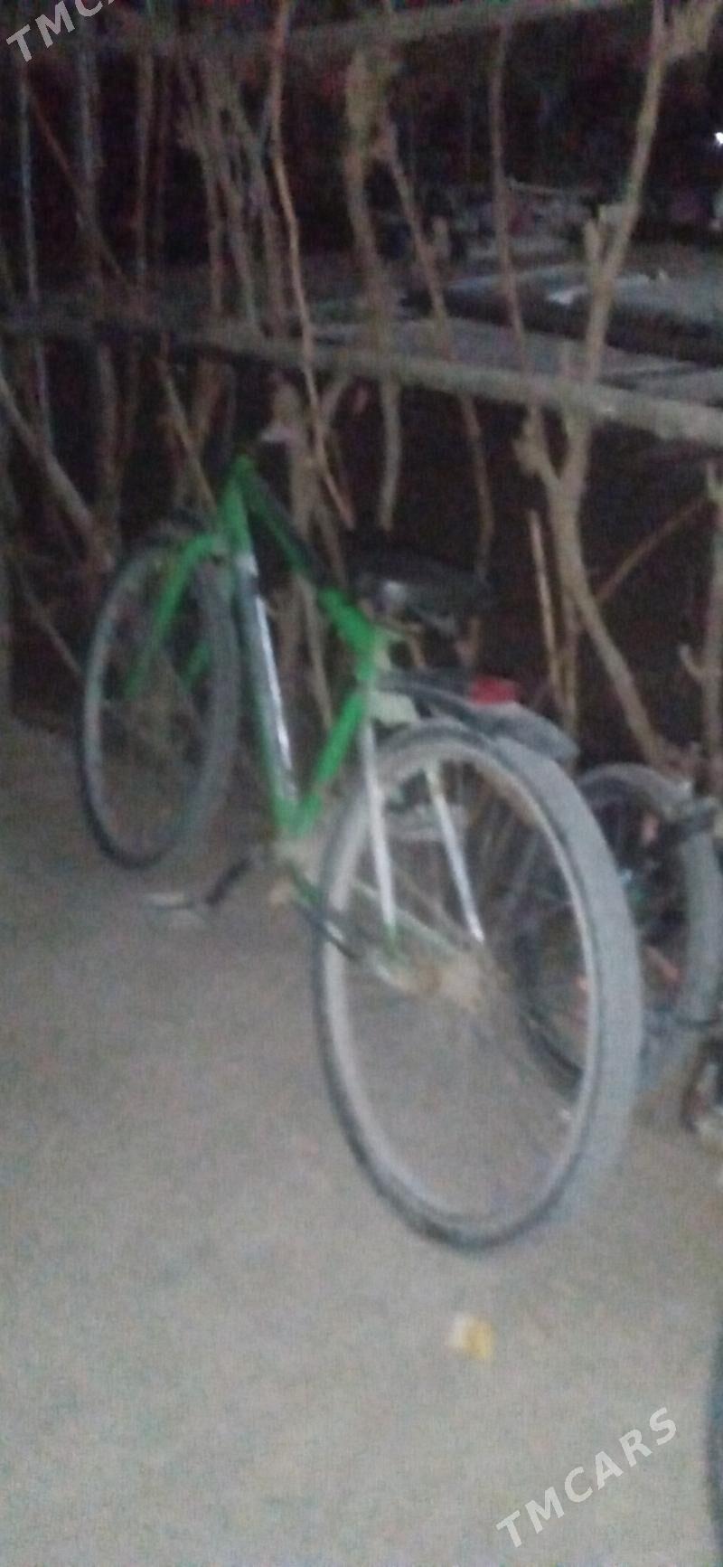 Tigir - Gubadag - img 4