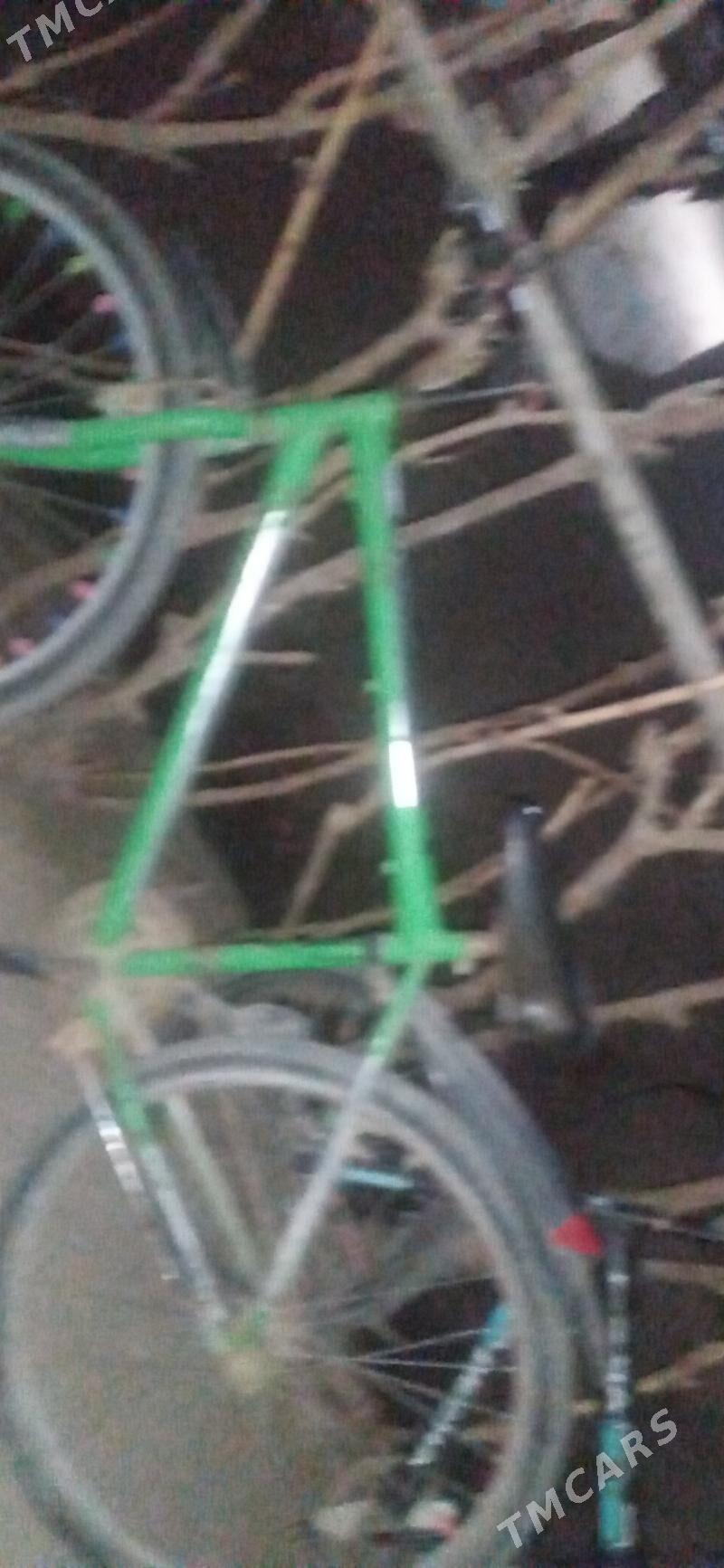 Tigir - Gubadag - img 3