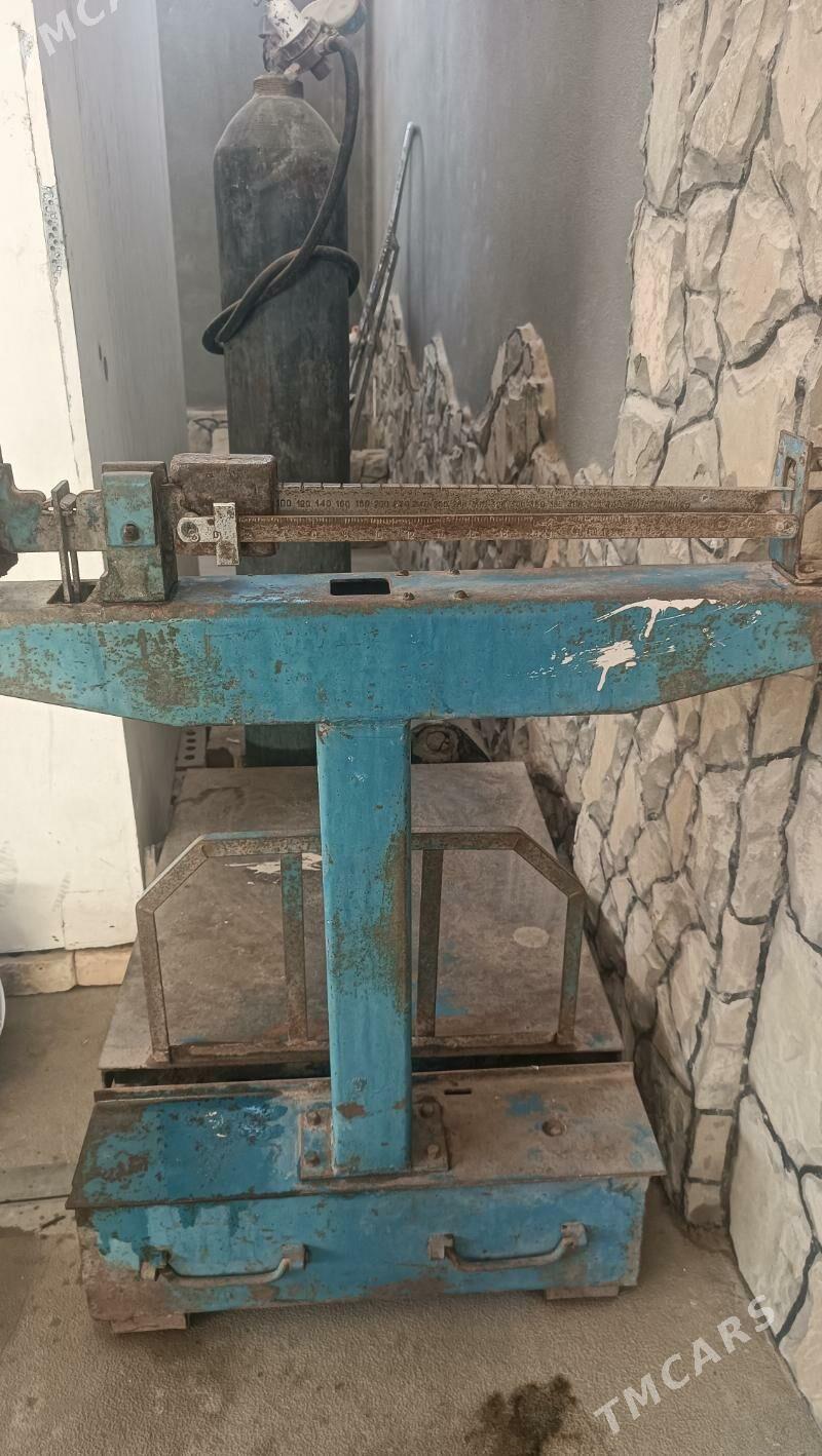 terezi - Mary - img 7