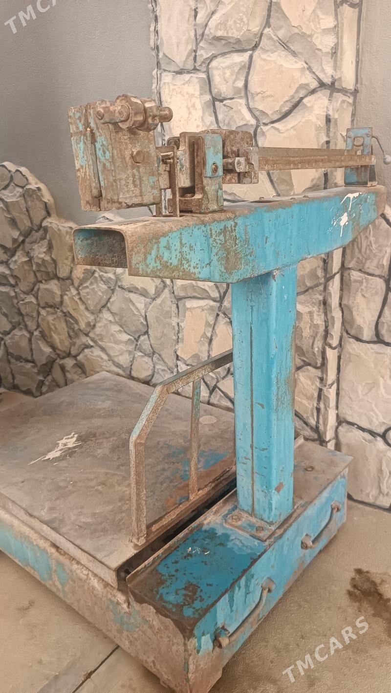 terezi - Mary - img 10