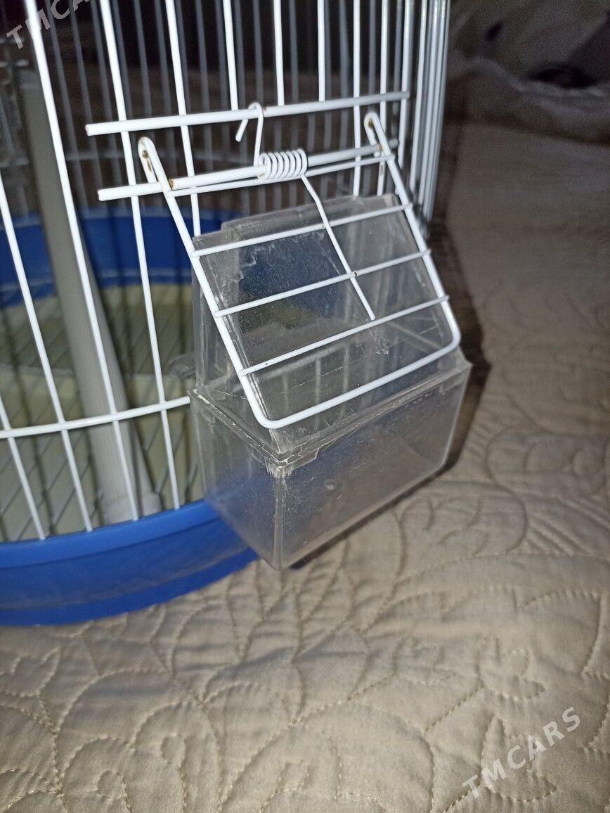 Клетка для попугаев - Aşgabat - img 2