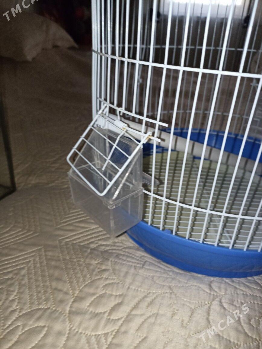 Клетка для попугаев - Aşgabat - img 3