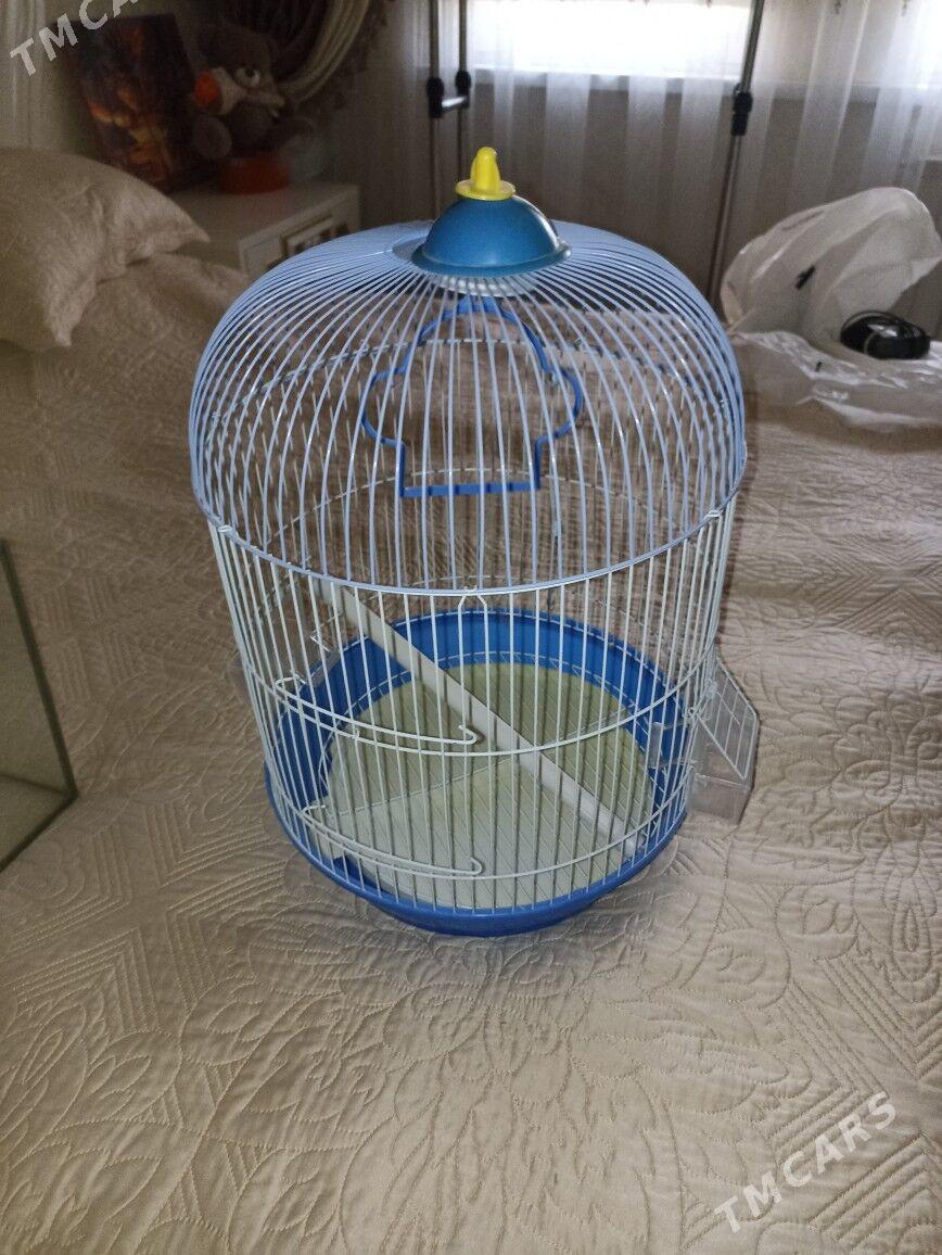 Клетка для попугаев - Aşgabat - img 1