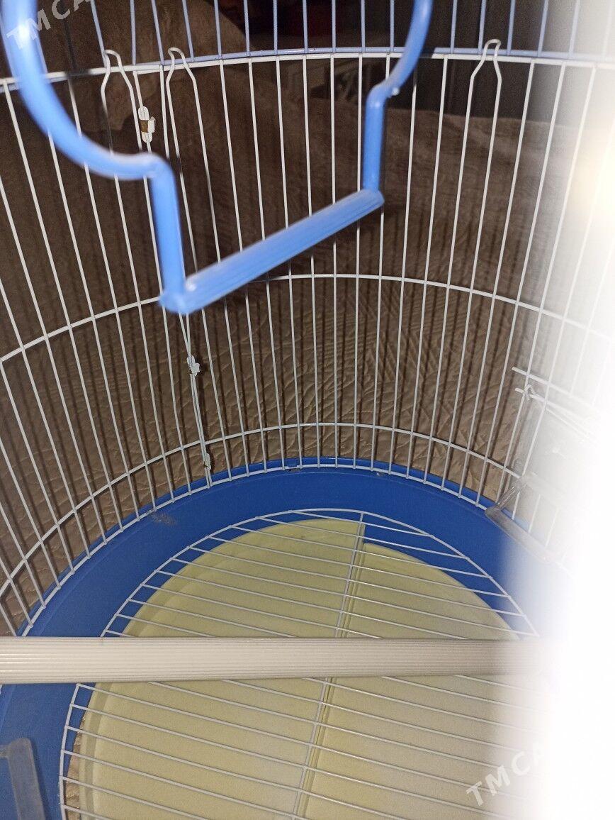 Клетка для попугаев - Aşgabat - img 4
