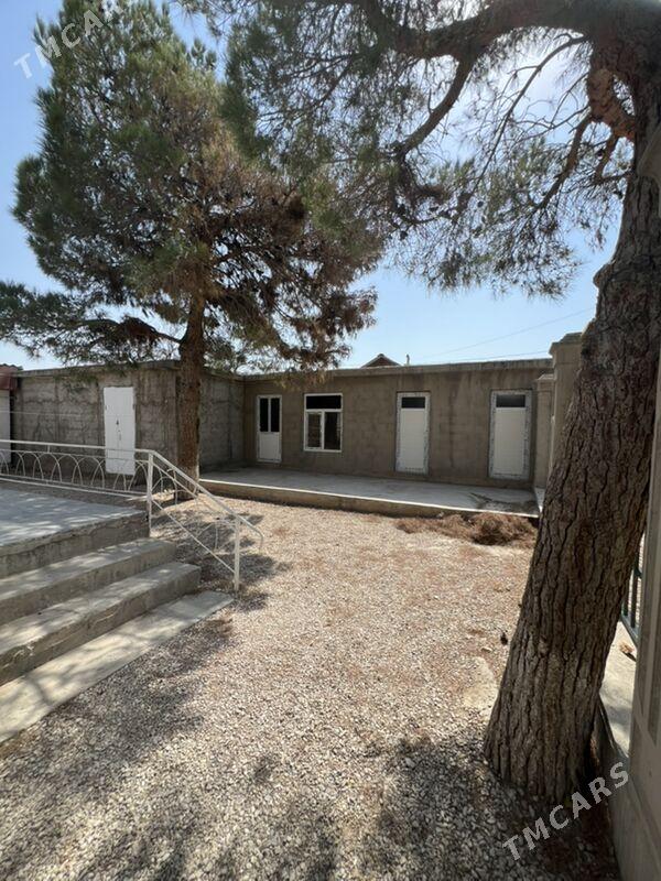 satlyk jaý - Balkanabat - img 2