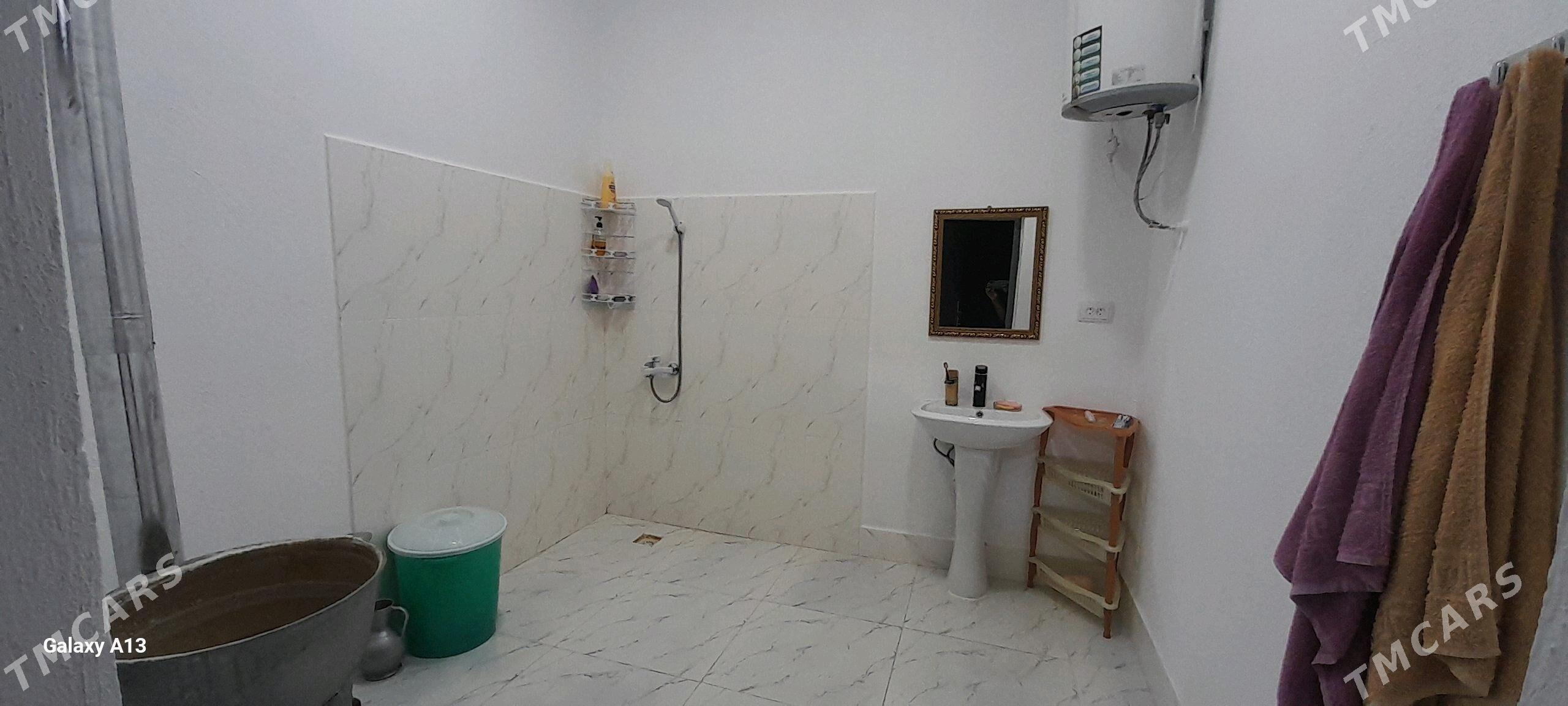 jaÿ kaka artyk - Kaka - img 1