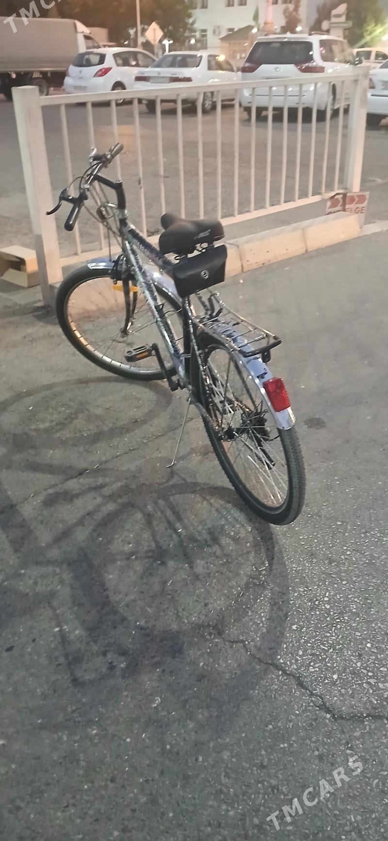 Yapon tigir - Ашхабад - img 3