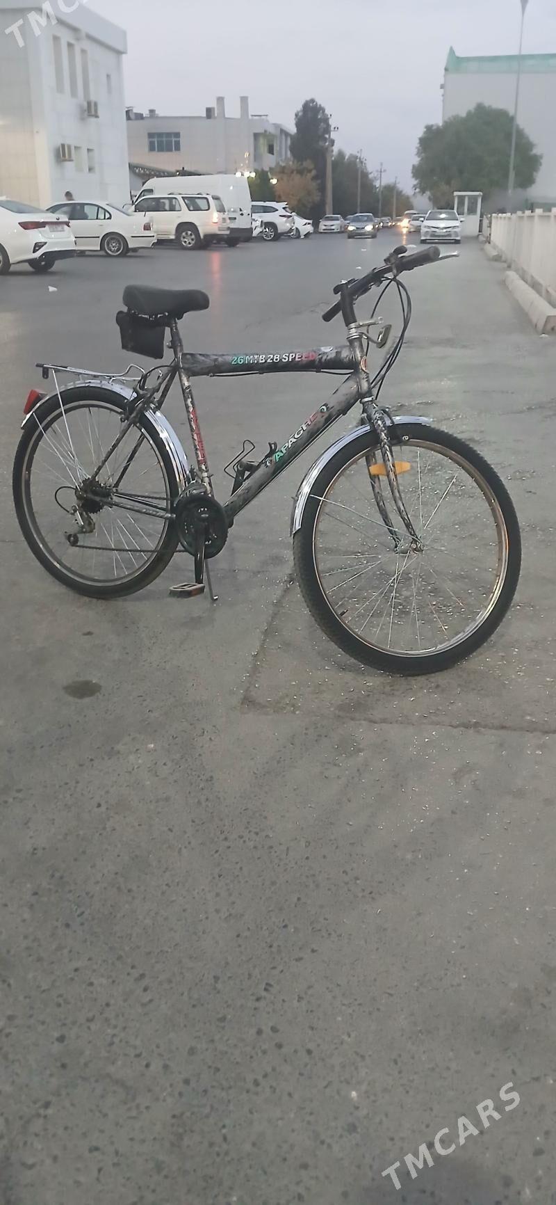 Yapon tigir - Ашхабад - img 2