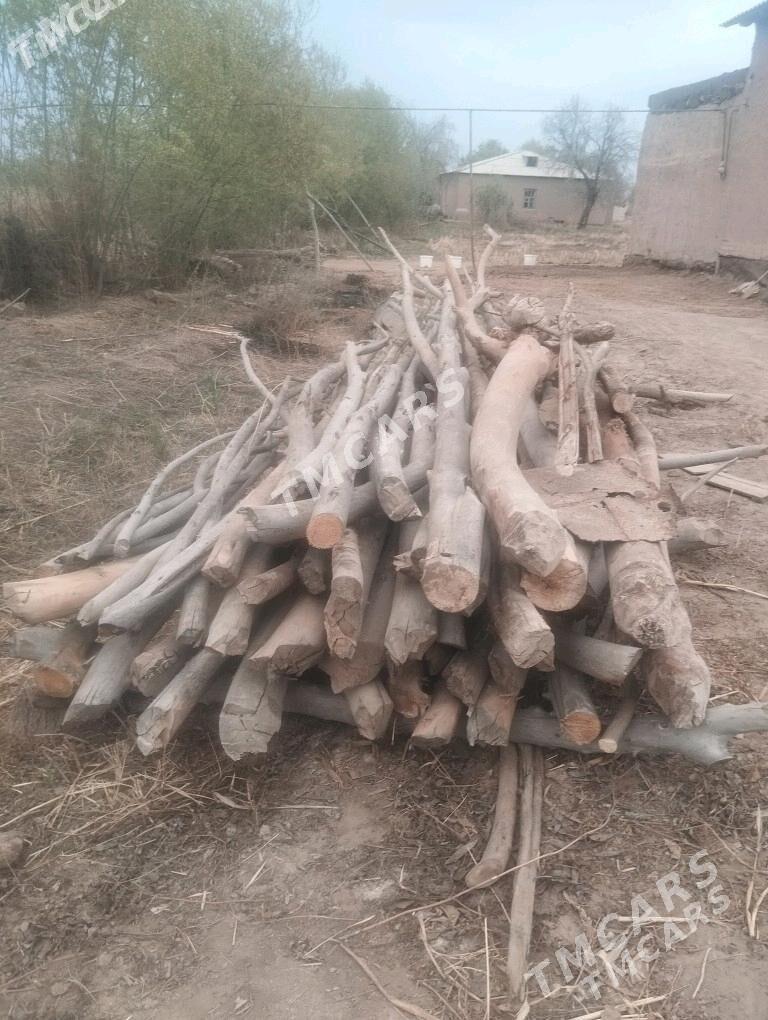 Сатлык Хадалар - Boldumsaz - img 2