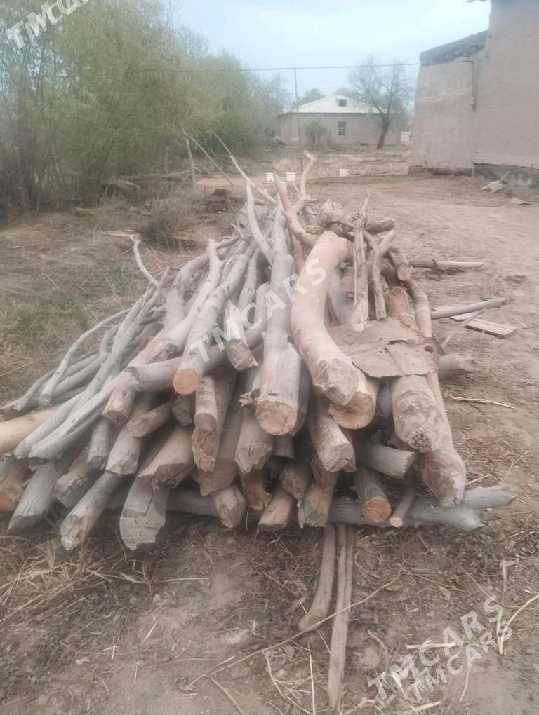 Сатлык Хадалар - Boldumsaz - img 3