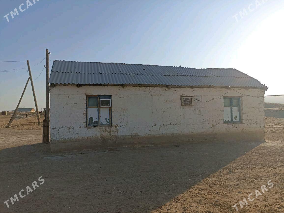 Jay Dùwinci oba - Балканабат - img 5