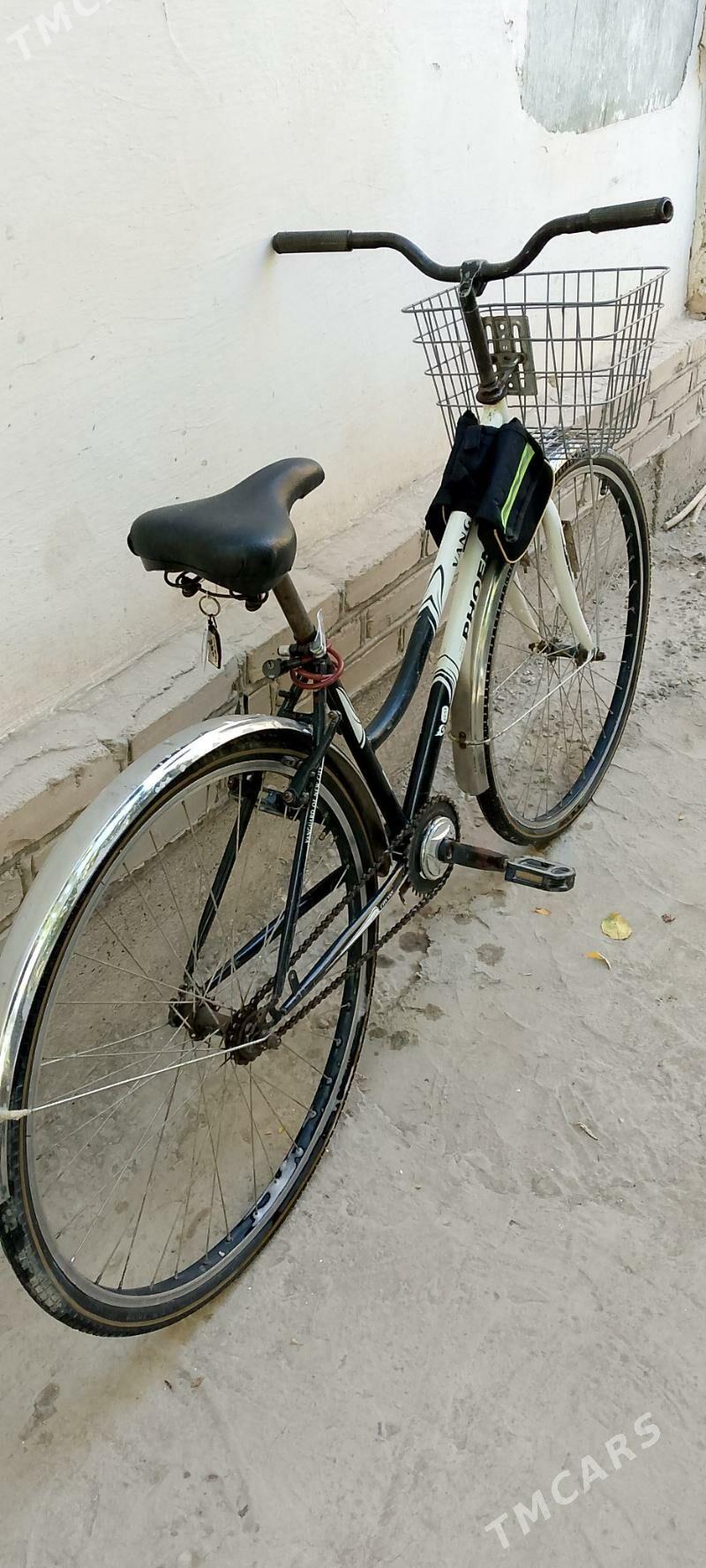 welosped 28lik - Дашогуз - img 1