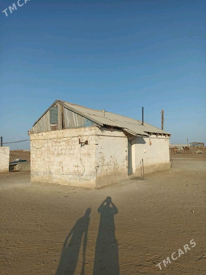 Jay Dùwinci oba - Балканабат - img 6