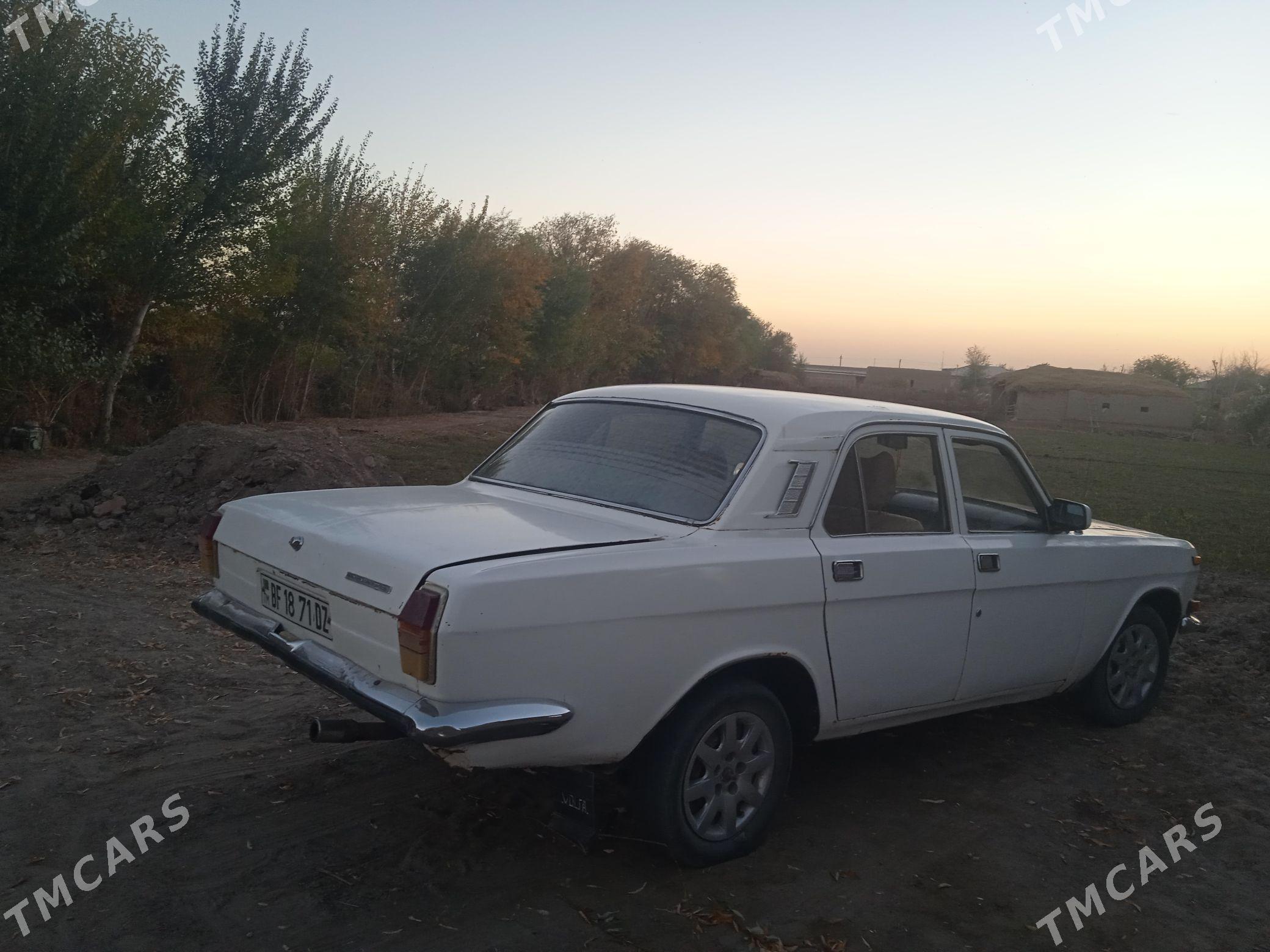 Gaz 24 1989 - 10 000 TMT - Болдумсаз - img 1