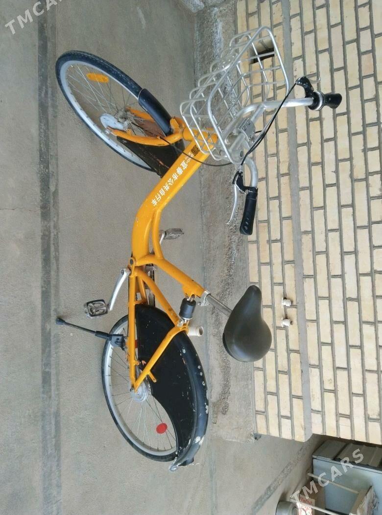 welsepet - Сакарчага - img 2