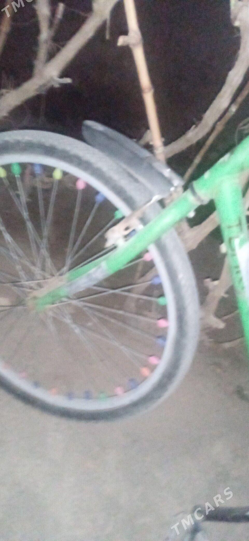 teker - Gubadag - img 2