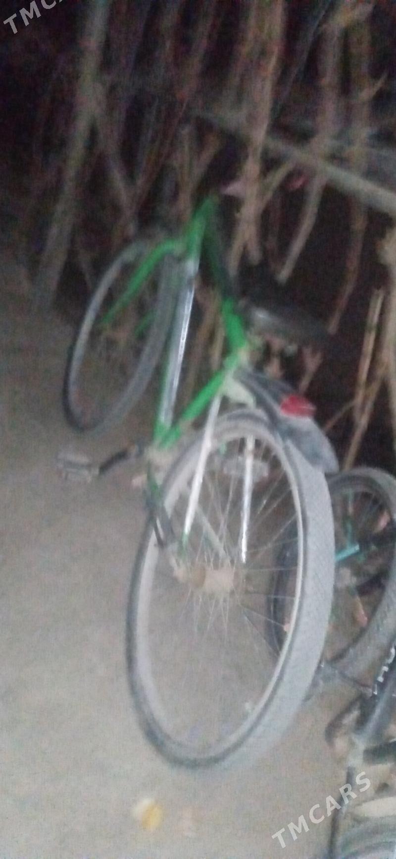 teker - Gubadag - img 1