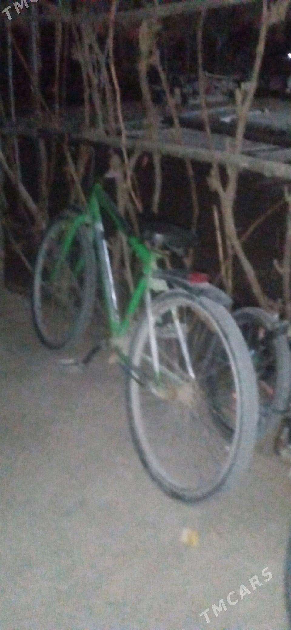 teker - Gubadag - img 4