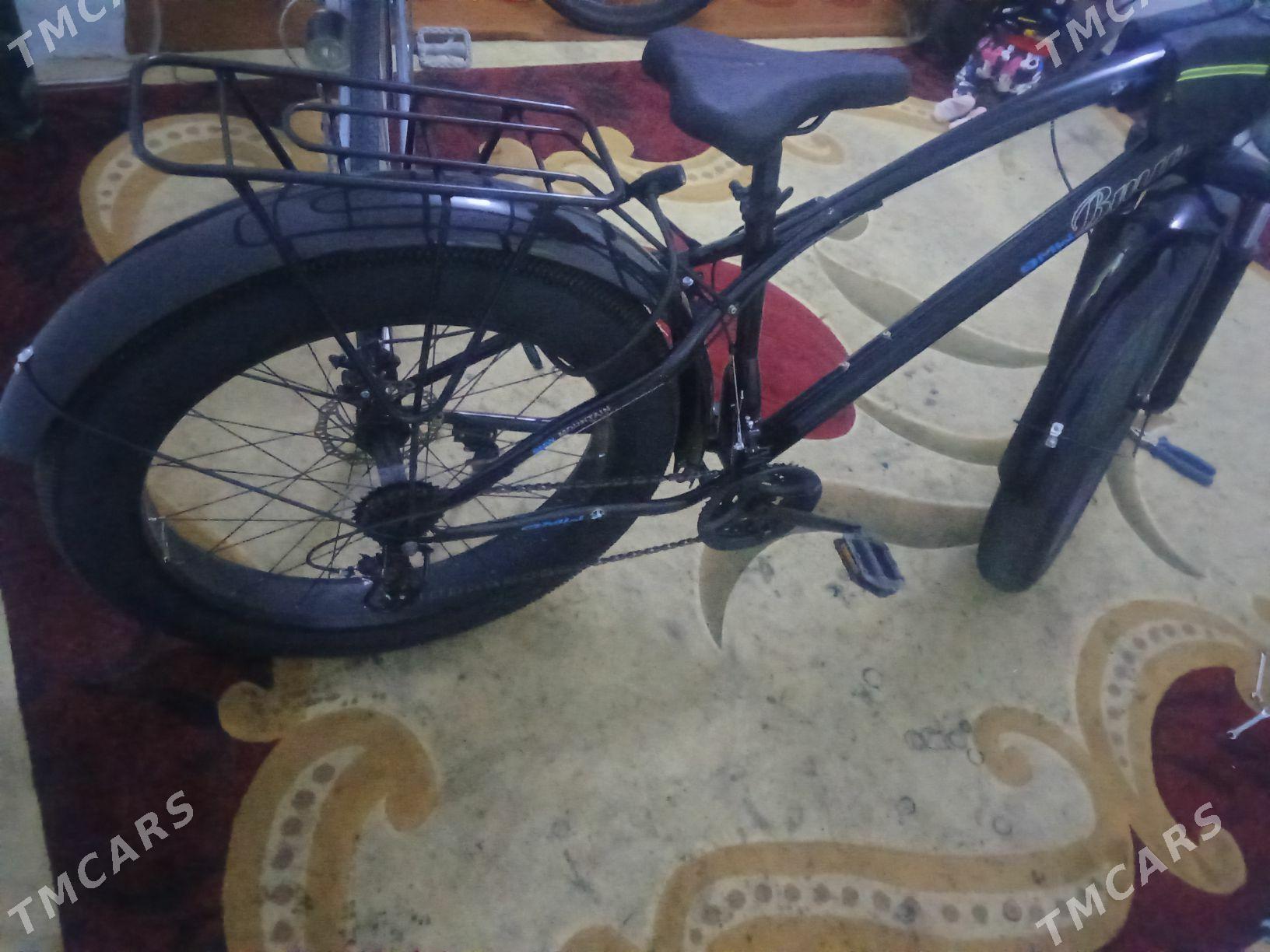 Mewa. Tigir - Аркадаг - img 3