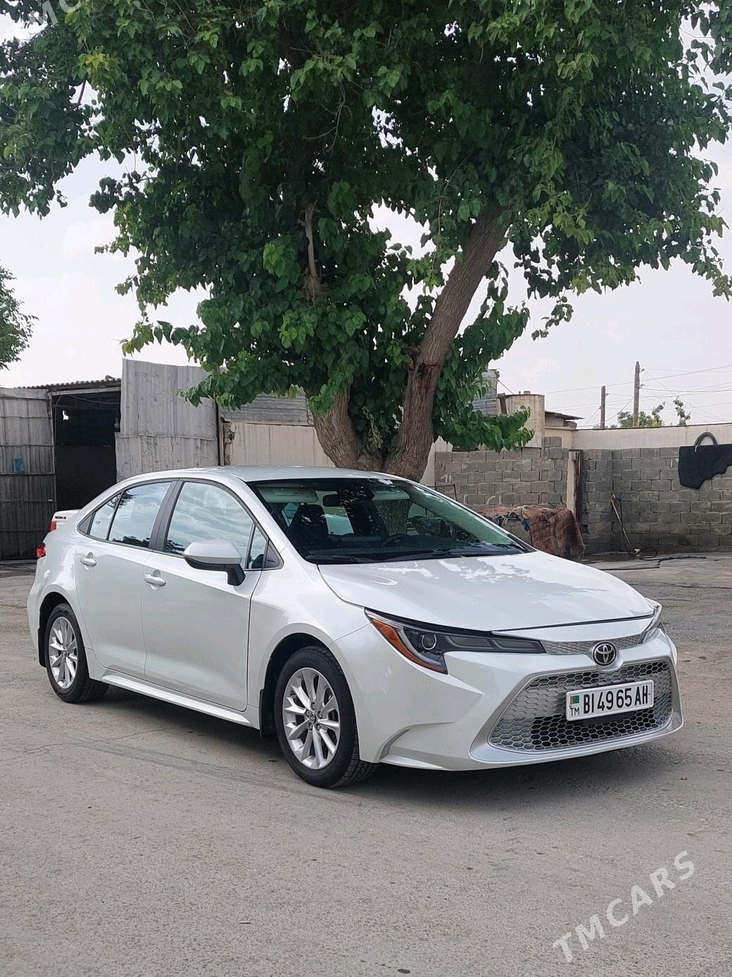 Toyota Corolla 2022 - 250 000 TMT - Gökdepe - img 1