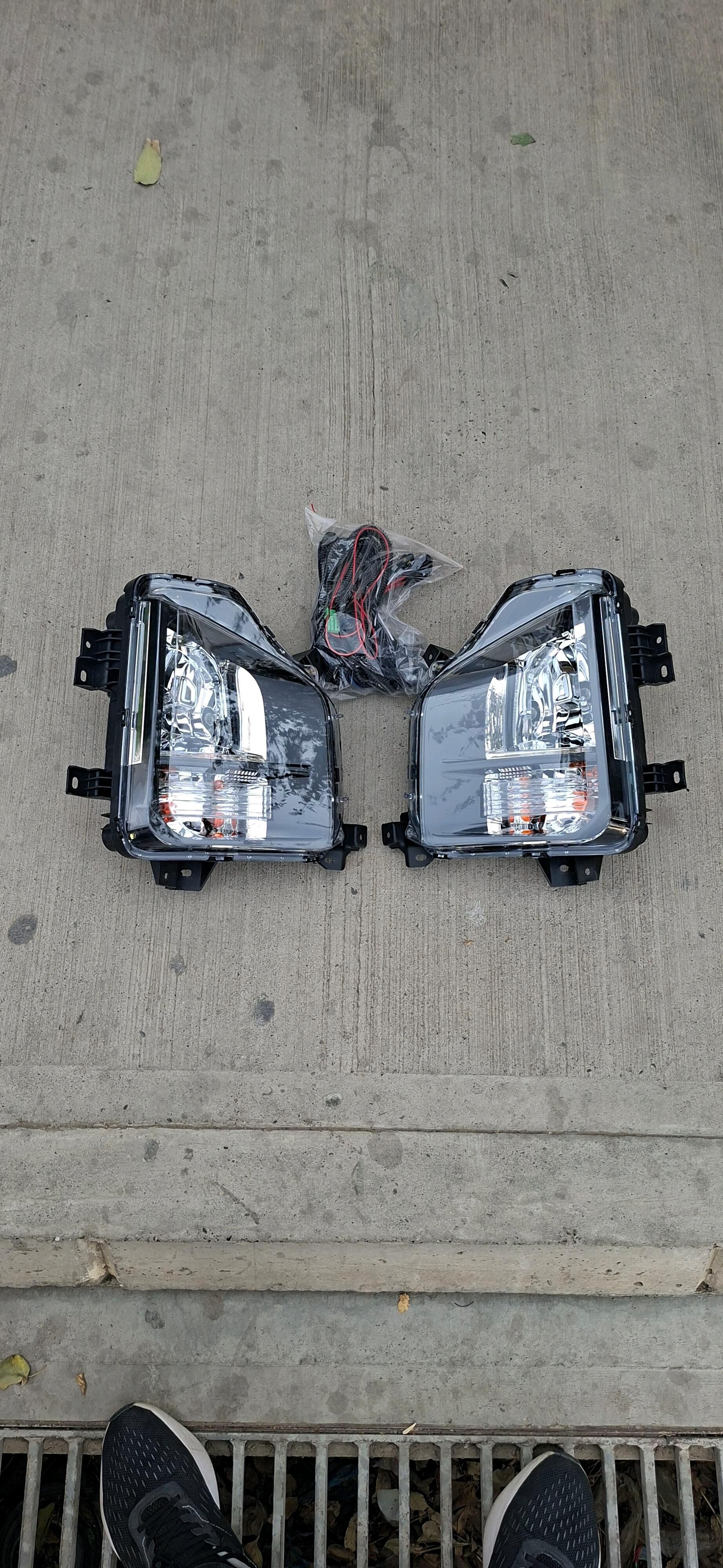 Tummanyk L 200 19-20 2 TMT - Bedew - img 3