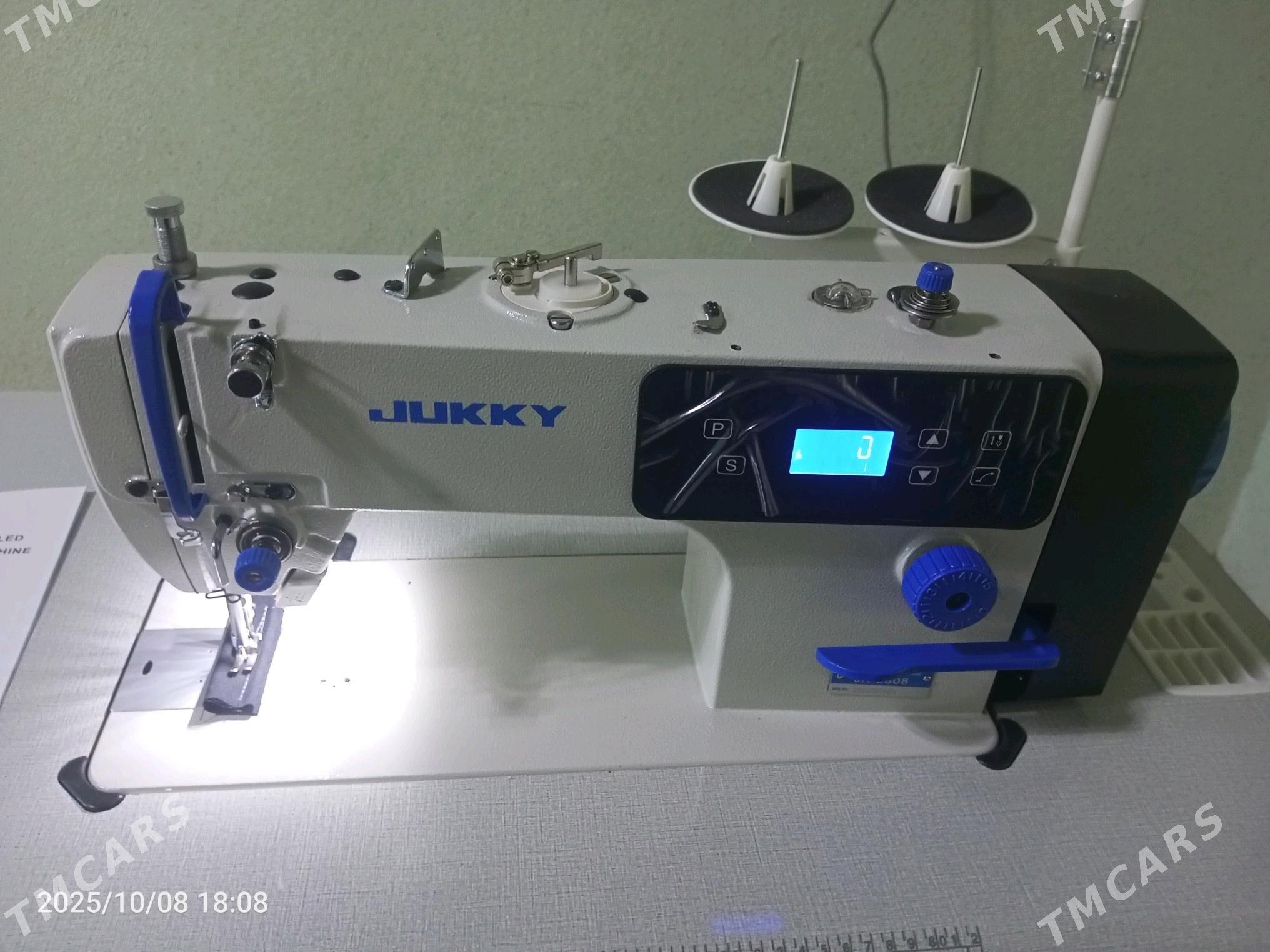 жукки - Gurbansoltan Eje - img 1