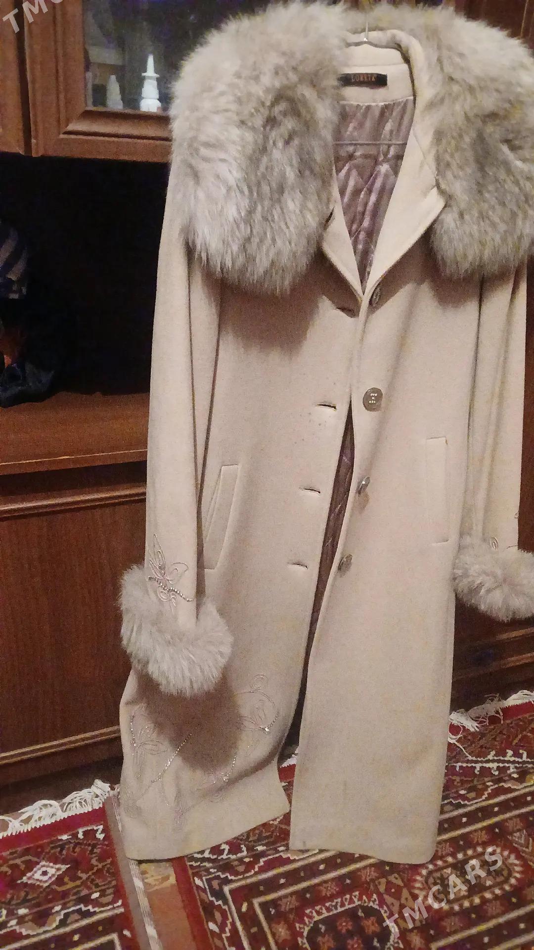 palto - Daşoguz - img 2