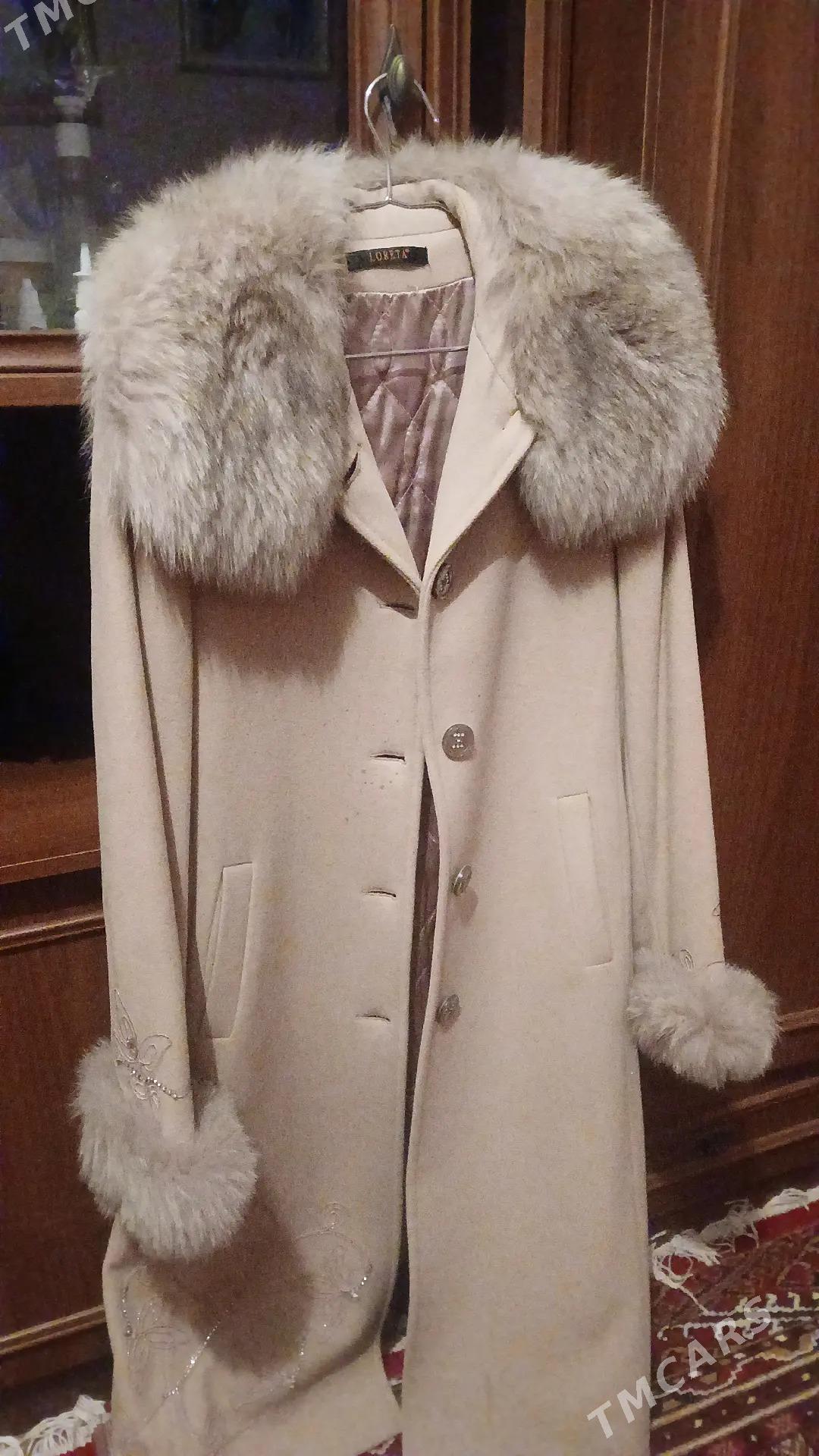 palto - Daşoguz - img 3