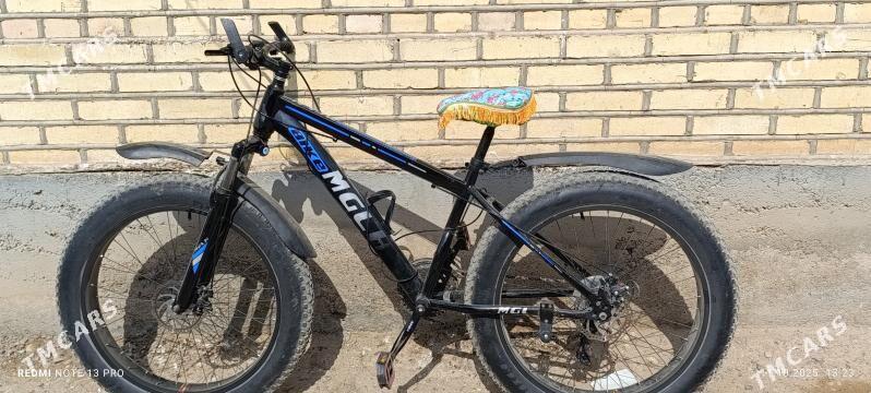 tigir - Tejen - img 2